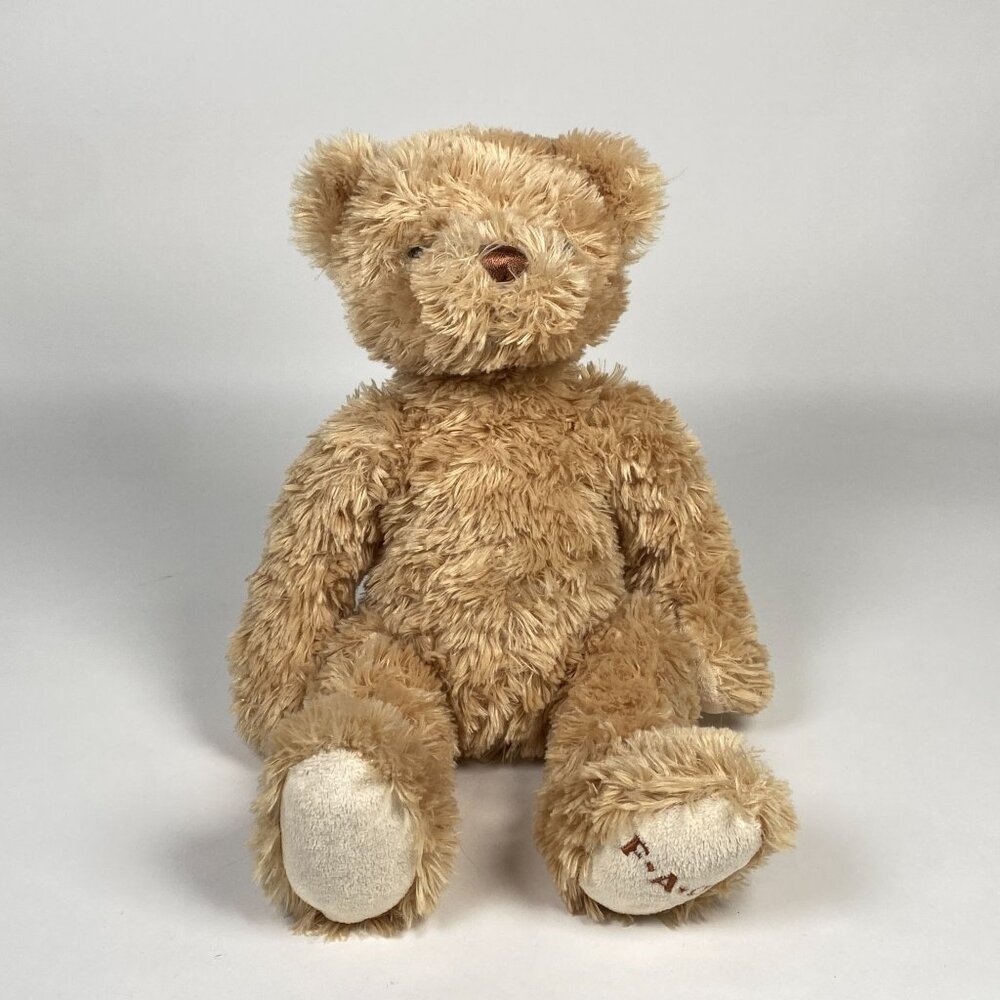 F.A.O. Schwarz Teddy Bear Plush Stuffed Animal Fuzzy Brown Embroidered Logo